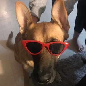 Meet your Posher, Jacqueline